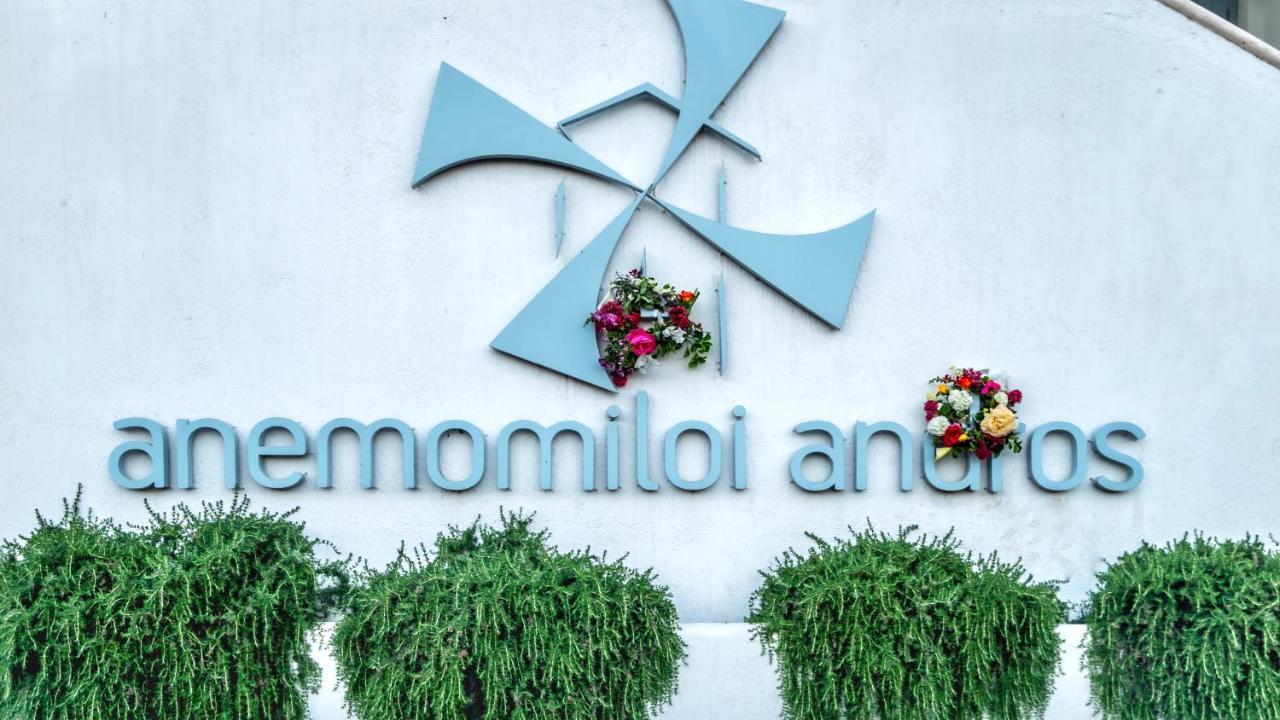 Anemomiloi Andros Hotel Kültér fotó